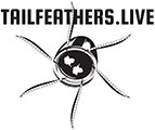 Tailfeathers